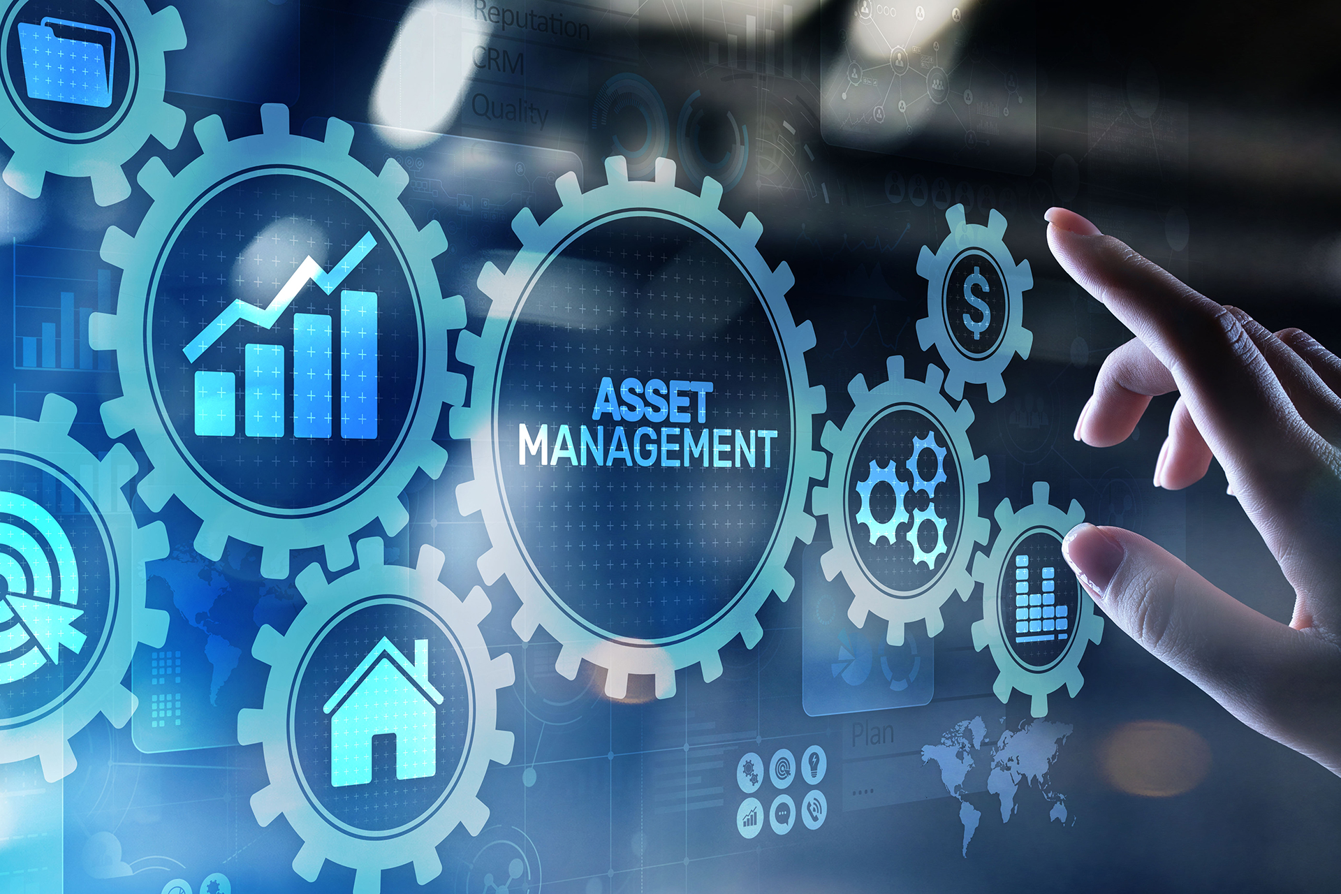 Asset Management icon