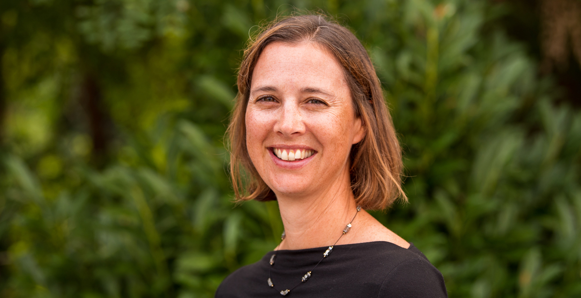 Niki Miller, PMP, GISP Elected Chair of Maryland State Geographic Information Committee banner
